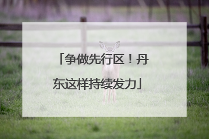 争做先行区！丹东这样持续发力